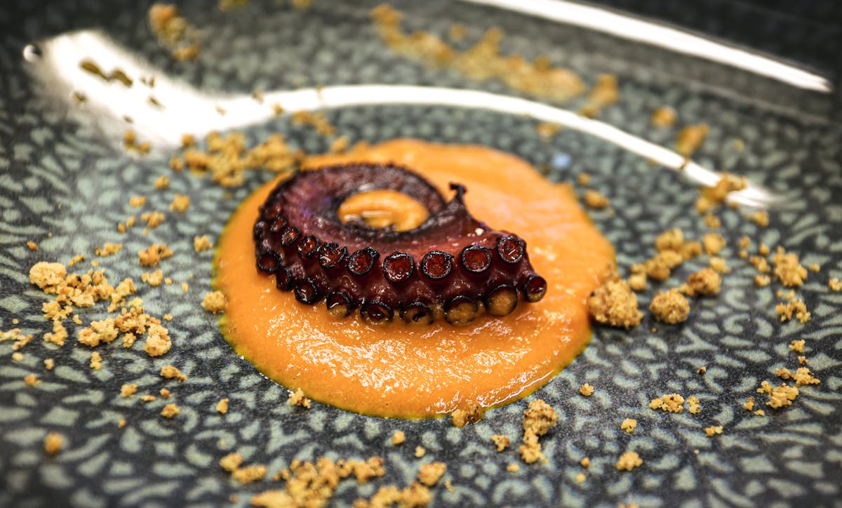 Plated cooked octopus tentacle